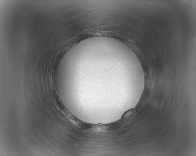 X0000081560569200701151003