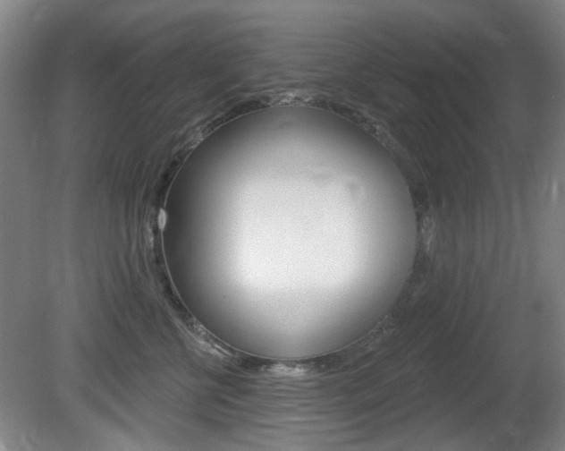 X0000081560570200701151003