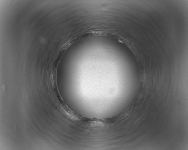 X0000081560572200701151003