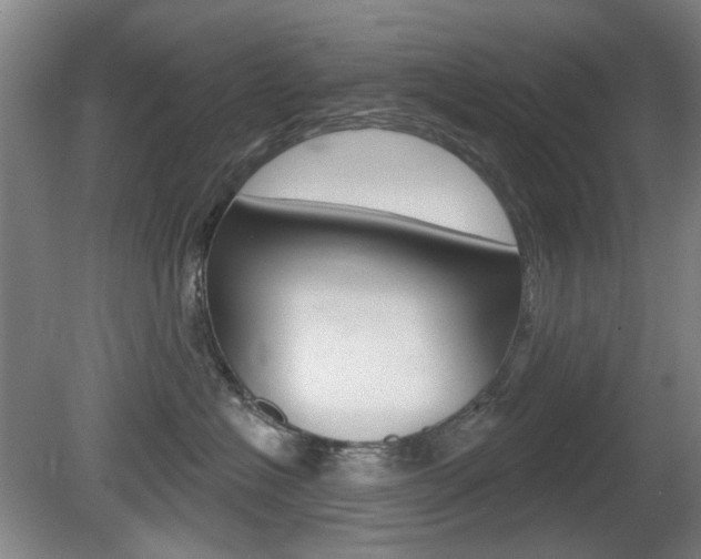 X0000081560574200701151003