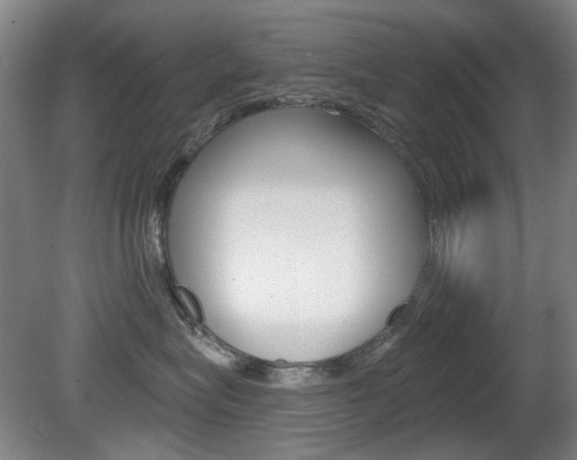 X0000081560575200701151003