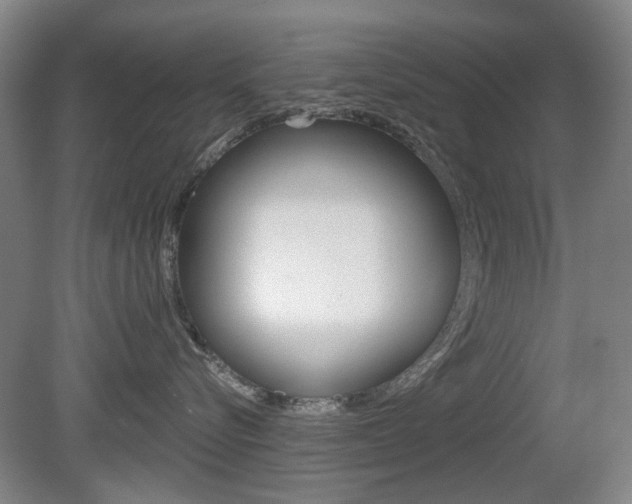 X0000081560576200701151003