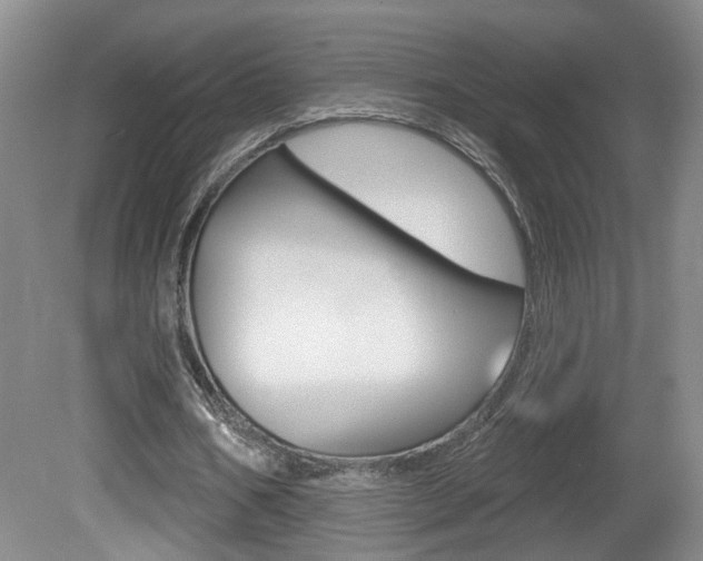 X0000081560578200701151002