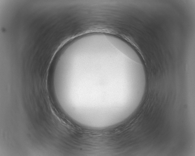 X0000081560579200701151002