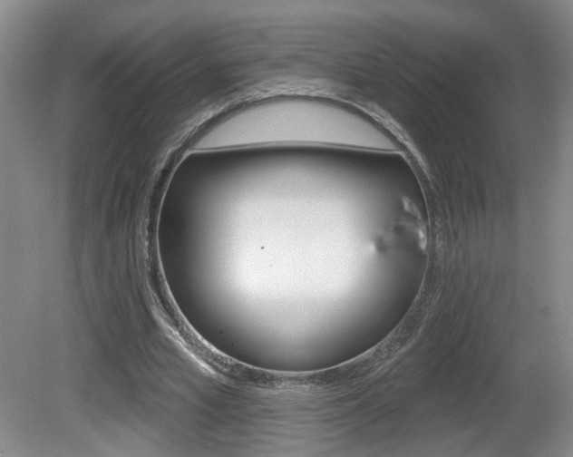 X0000081560581200701151002