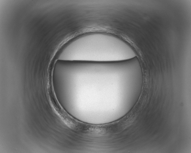 X0000081560582200701151002