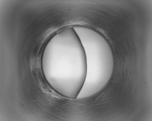 X0000081560583200701151002