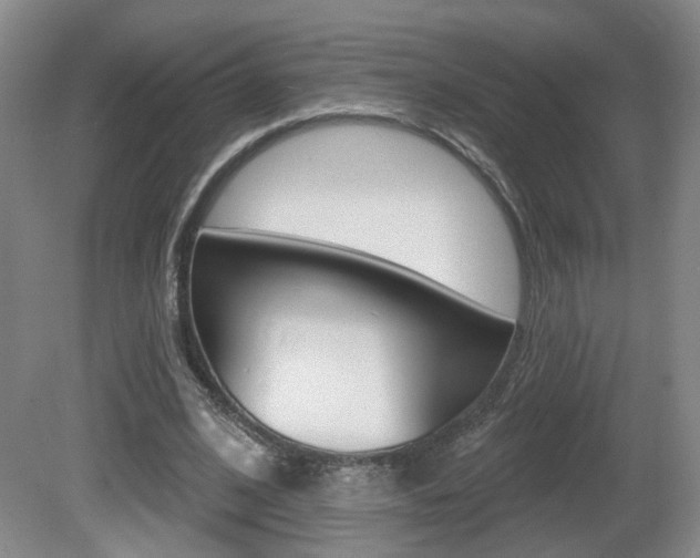 X0000081560584200701151002