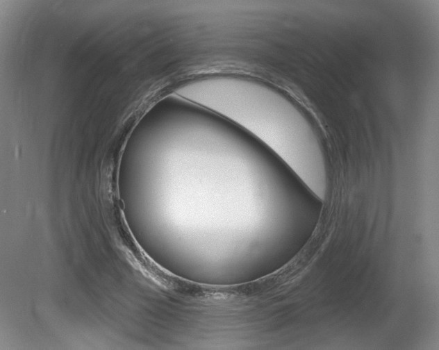 X0000081560585200701151002