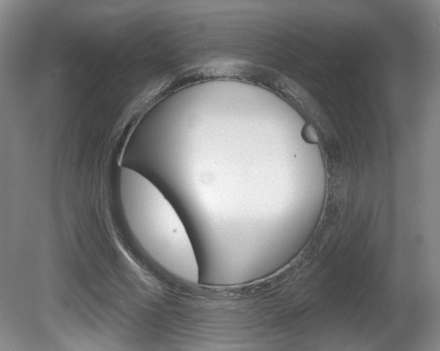X0000081560586200701151002