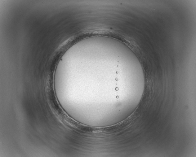 X0000081560591200701151002