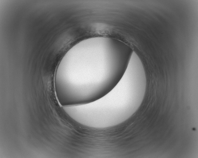 X0000081560595200701151002