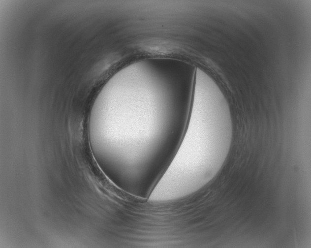 X0000081560596200701151002