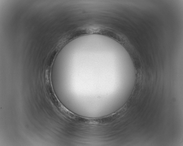 X0000081560598200701151002