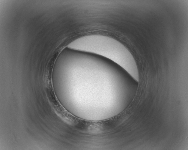 X0000081560599200701151002