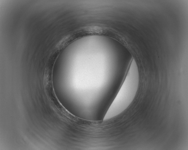 X0000081560600200701151002