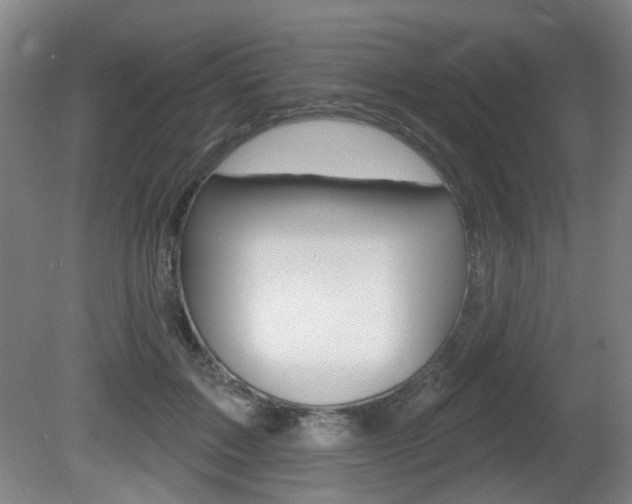 X0000081560603200701151001