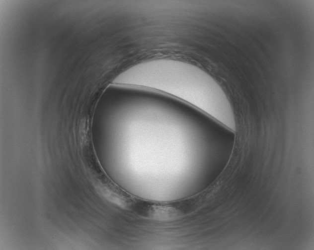 X0000081560605200701151001