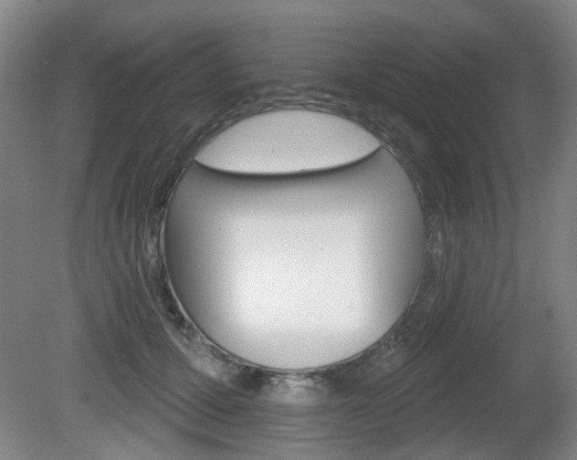 X0000081560607200701151001