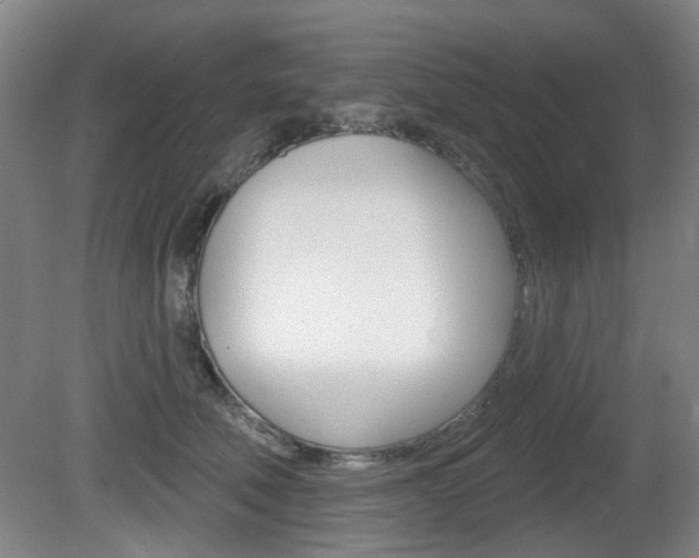 X0000081560610200701151001