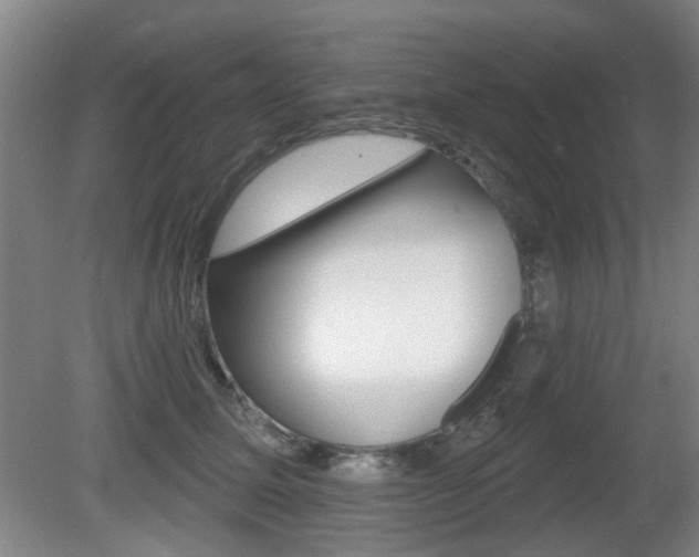 X0000081560611200701151001