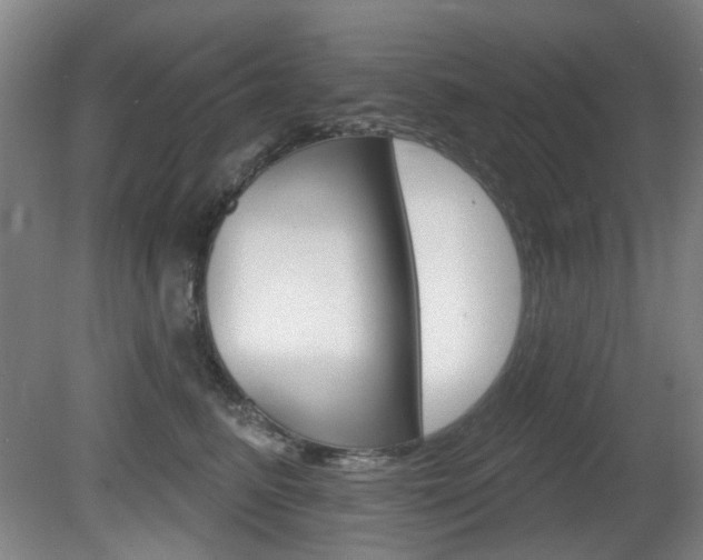 X0000081560615200701151001