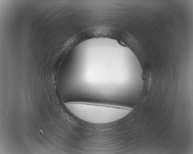 X0000081560619200701151001