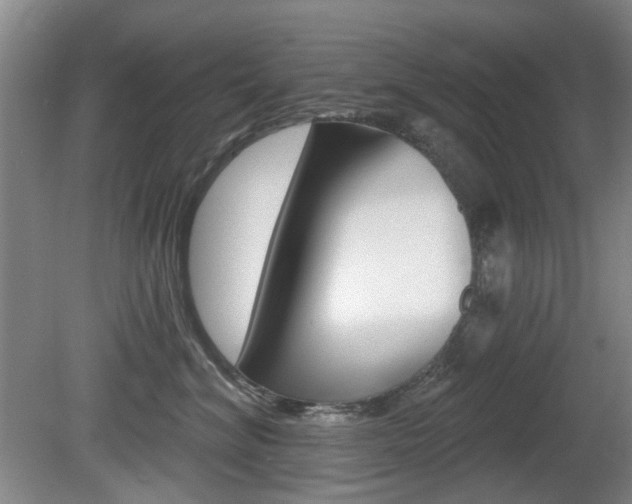 X0000081560620200701151001