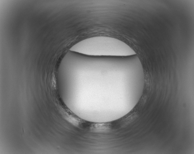 X0000081560622200701151001