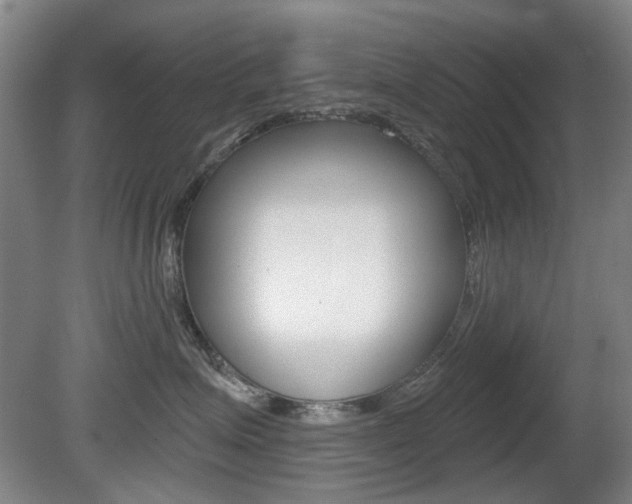 X0000081560623200701151001