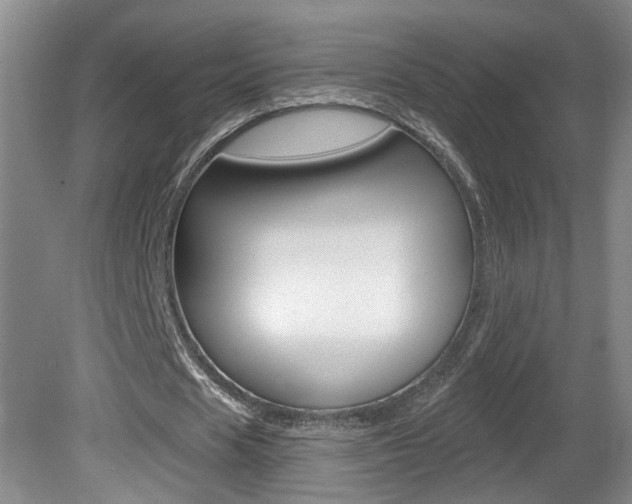 X0000081560625200701151000