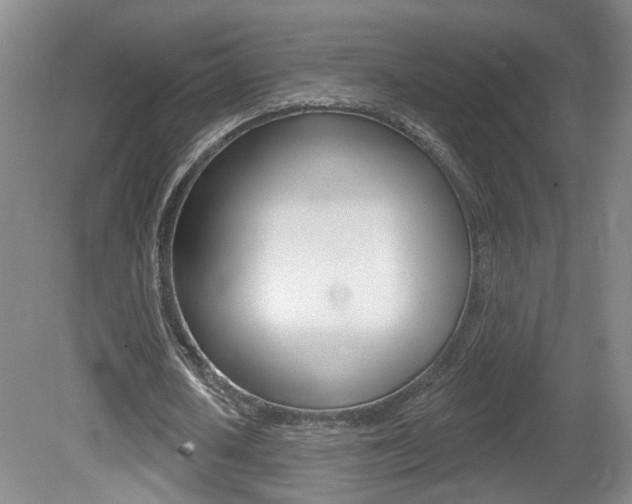 X0000081560626200701151000