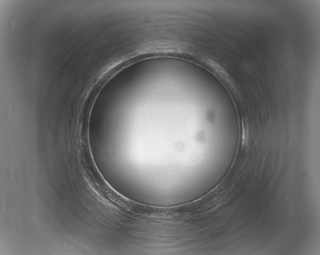 X0000081560627200701151000