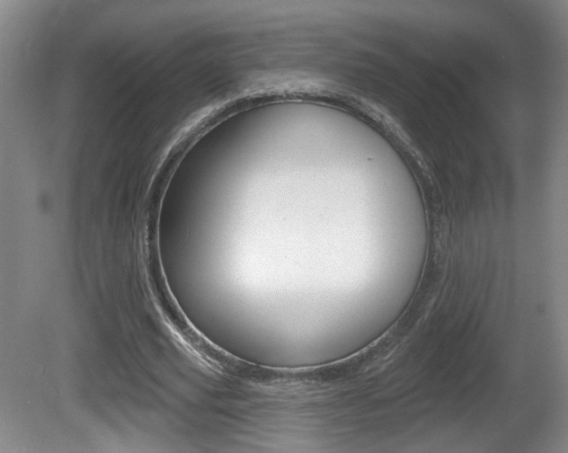 X0000081560629200701151000