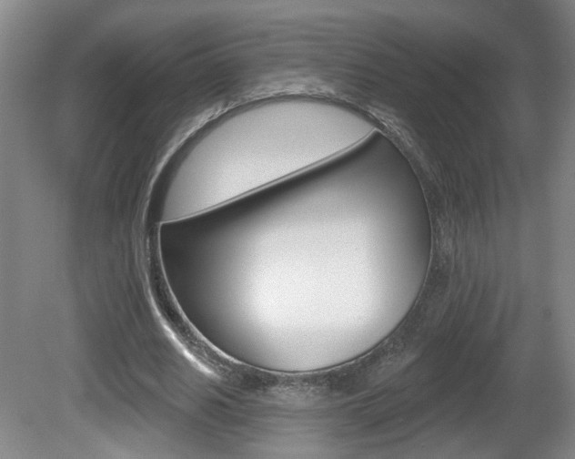X0000081560630200701151000
