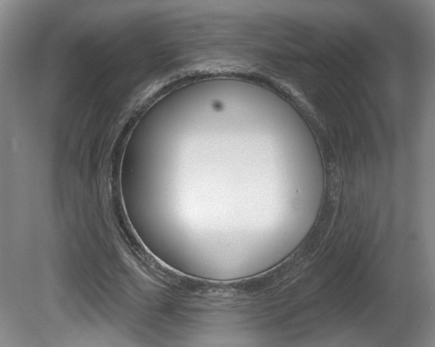 X0000081560631200701151000
