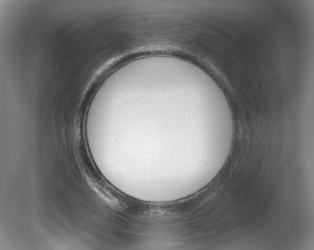 X0000081560632200701151000