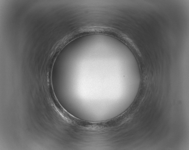 X0000081560633200701151000
