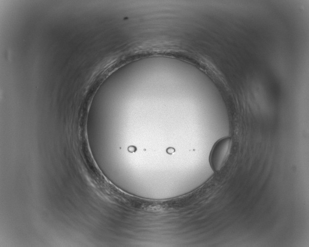 X0000081560635200701151000