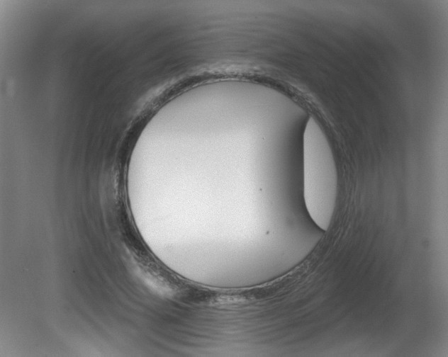 X0000081560636200701151000