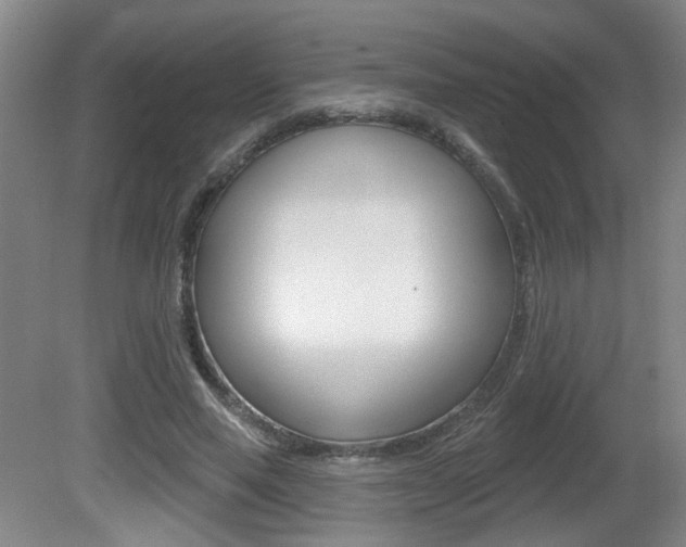 X0000081560637200701151001