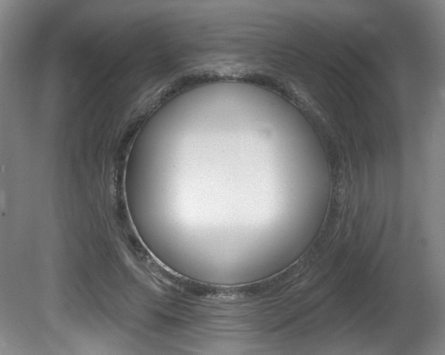 X0000081560639200701151001