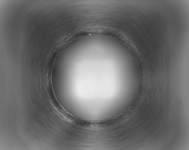 X0000081560641200701151001