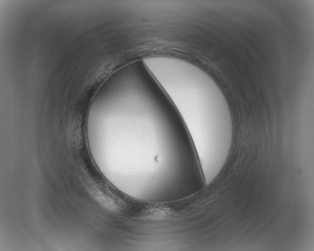 X0000081560642200701151001