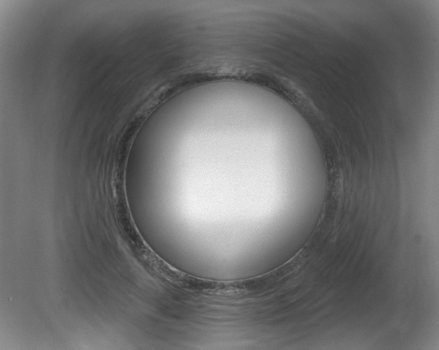 X0000081560643200701151001