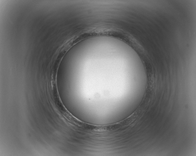 X0000081560644200701151001
