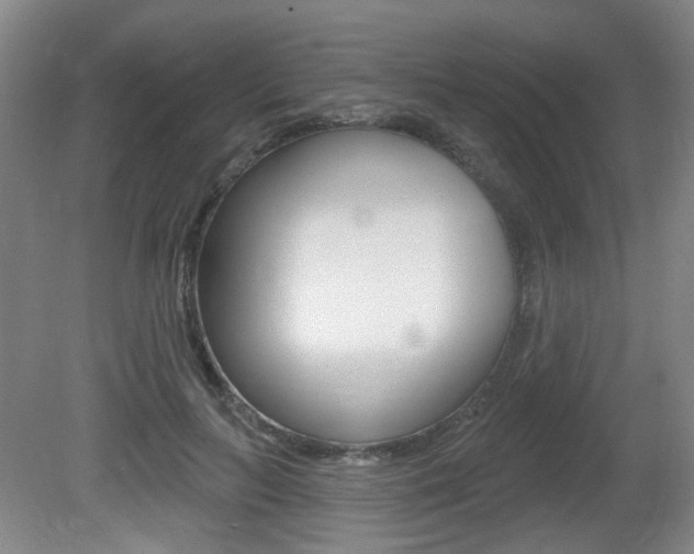 X0000081560647200701151001