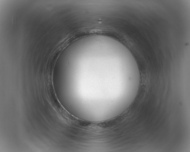 X0000081560648200701151001