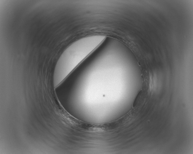 X0000081560649200701151001