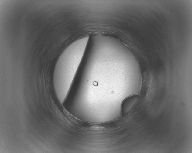 X0000081560650200701151001